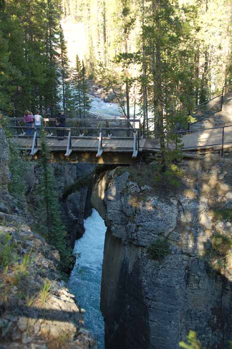 Sunwapta Falls